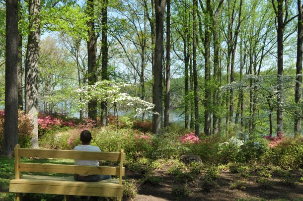 brighton dam picnic 027