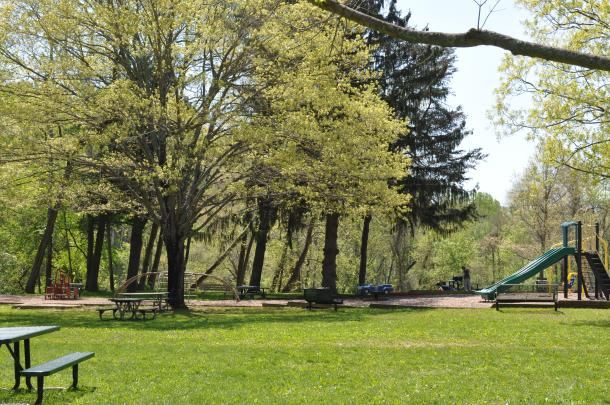 brighton dam picnic 034