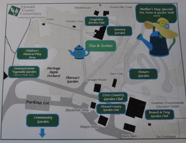 FF may6 and garden flier 012