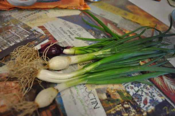 friends farms family forage 003