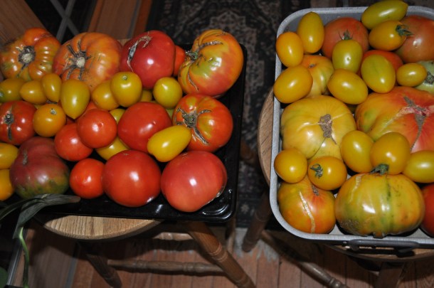 garden processing 033