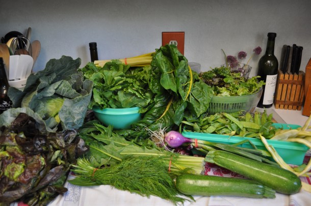 csa june16 garden and cooking 046