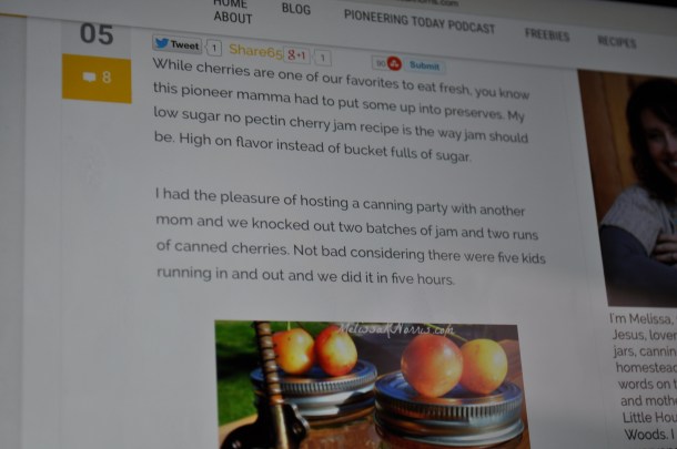 larriland and garden 017