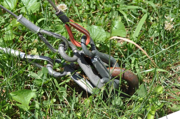 sunday field day 023