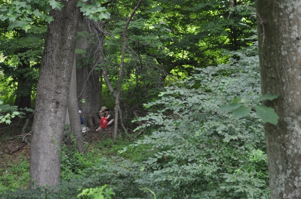 fairy houses and food pics 021