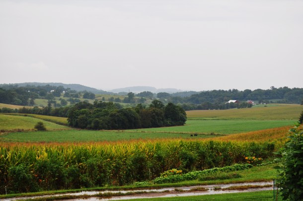 landscape howard county 032