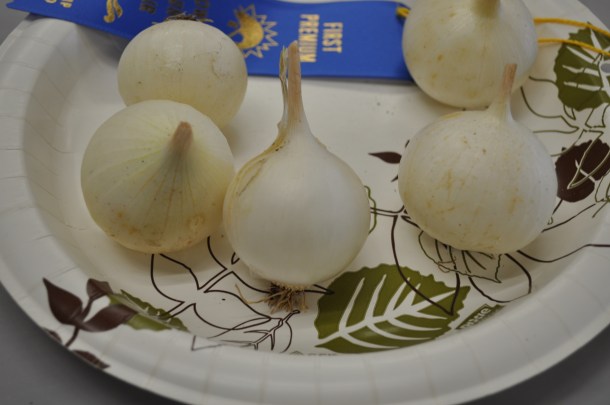 fandf fair anniversary 009