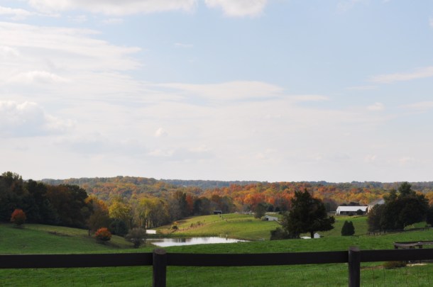 farm scenes fall 035