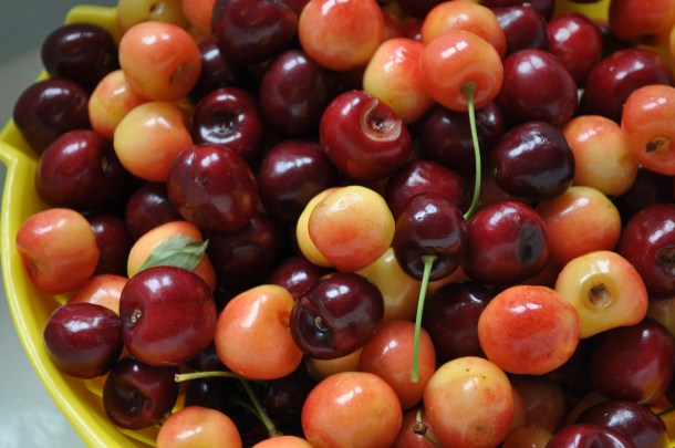 larriland and garden 008