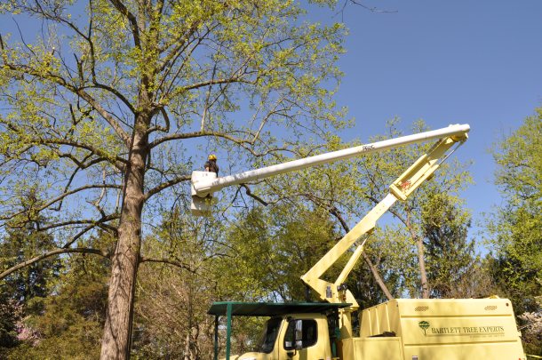 extreme weather and csa apr28 016