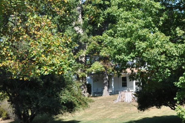 conservancy descriptive writing 020