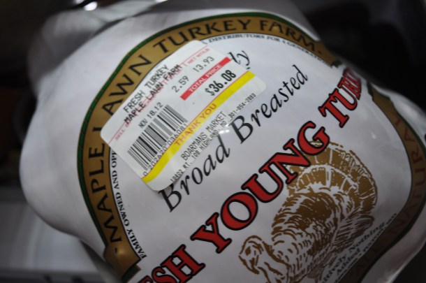 england acres and maple lawn 006