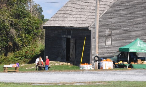 fall fest and basil 011