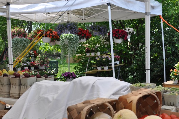 garden and jennys 023