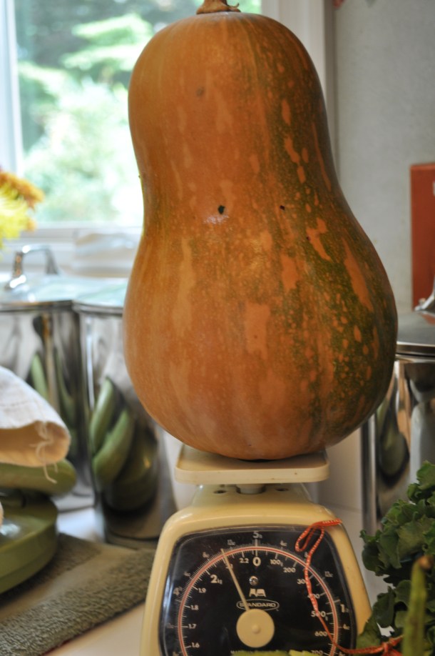 ten oaks cup csa and fandf 033