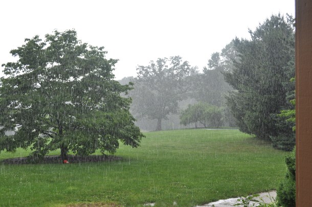 weather with the rain 070