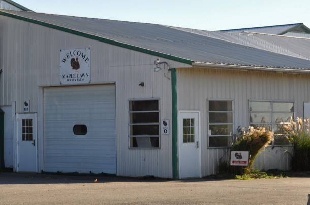 big cork and maple lawn 029