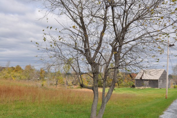 csa and friends oct 23 004