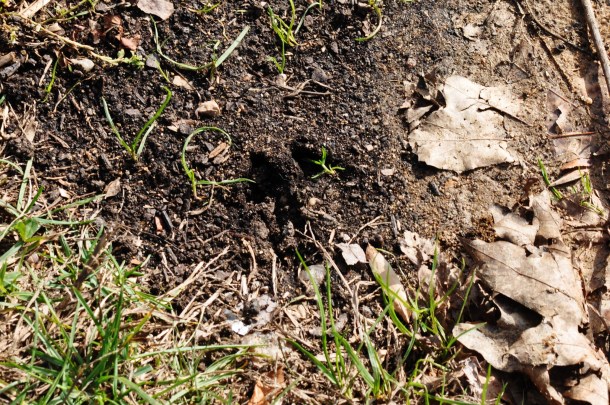 fandf marsden and dinner 015