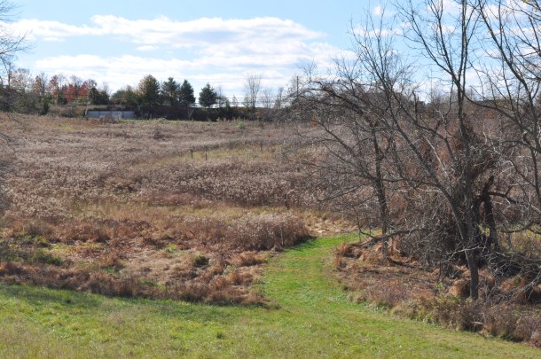 fandf marsden and dinner 022