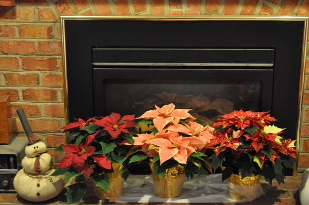 christmas tree and decorations 009