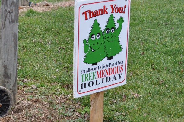 csa and shopping 018