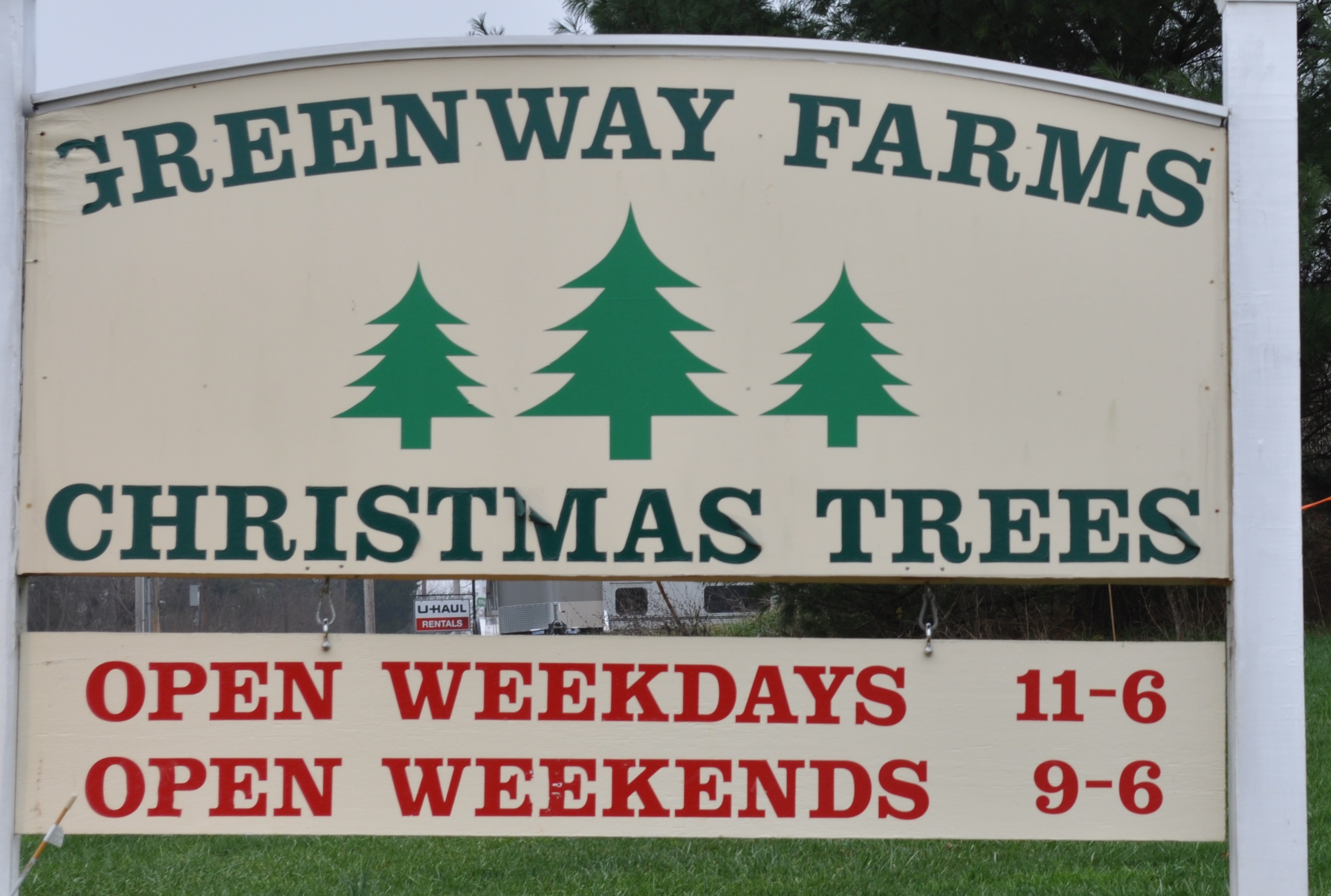 csa and shopping 021