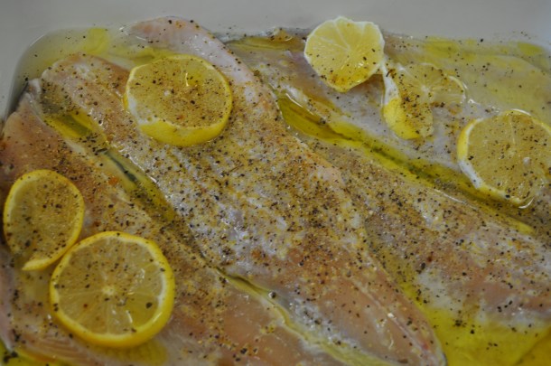 fandf and lasagna 012