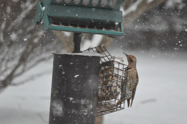 csa fandf and vdweekend 062