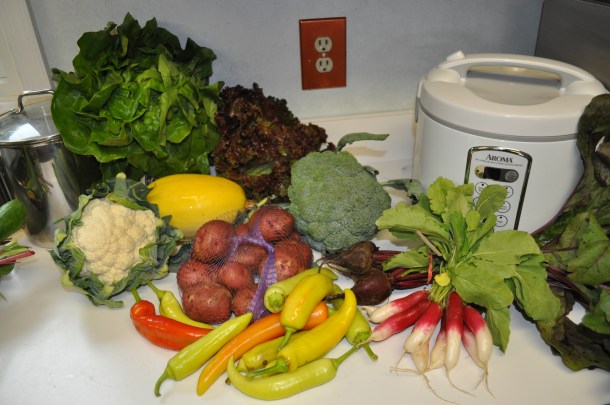 a medium summer share