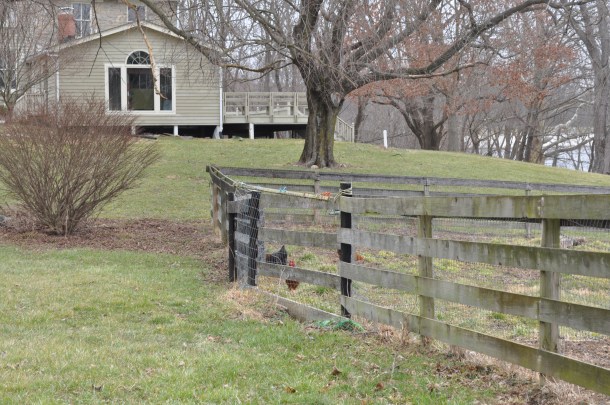 fandf and breexy willow 014