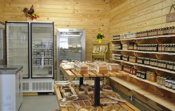 fandf and breexy willow 016