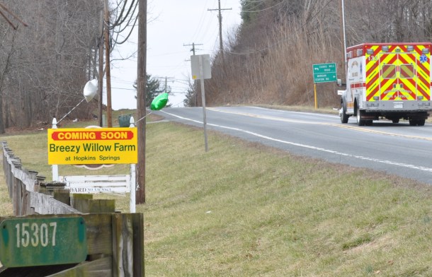 fandf and breexy willow 018