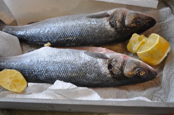 fandf and bronzini 022