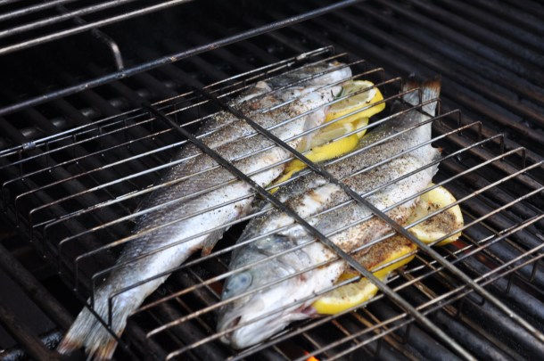 fandf and bronzini 025