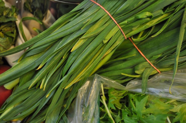 fandf lancaster and blossoms 021