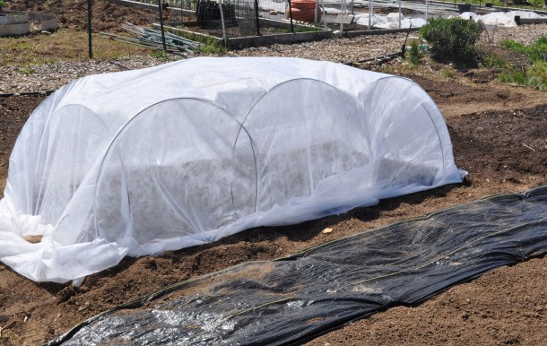 grillin chillin and tilling 061