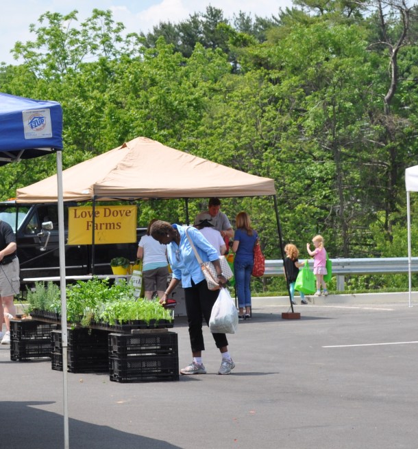 flowering the 15th and miller market 076
