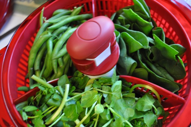 greens and csa may12 020