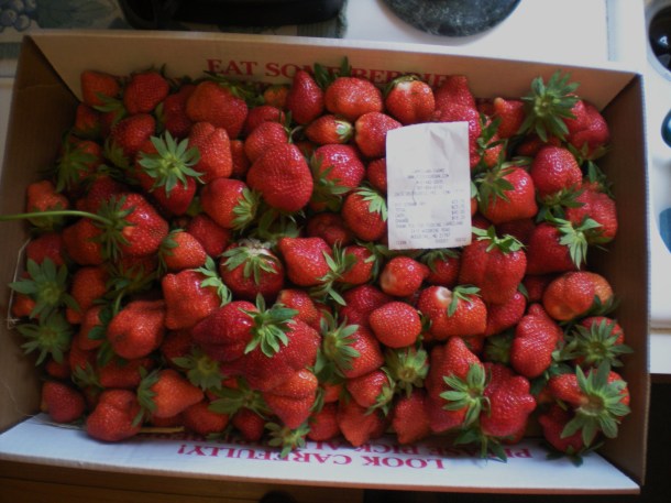 larriland and hocohospital market 035