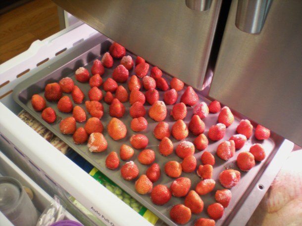 larriland and hocohospital market 046