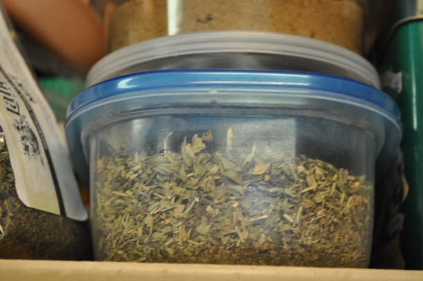 spring stuff including fandf 048