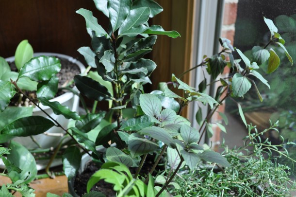 spring stuff including fandf 060