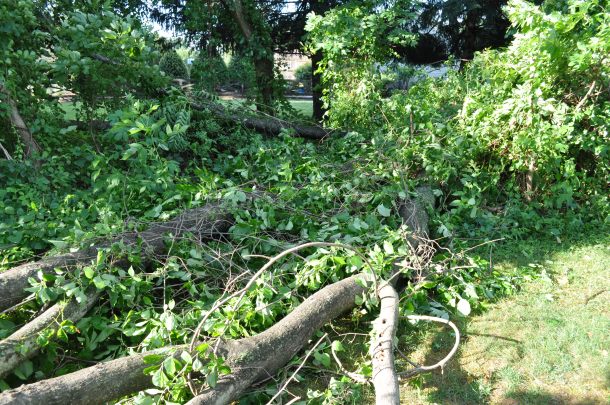 csa and severe weather 012