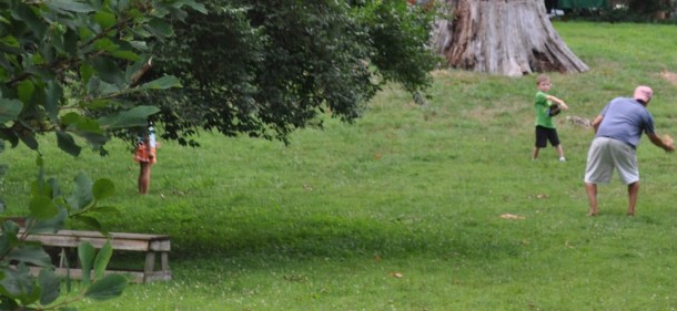 garden and fiddlers 019