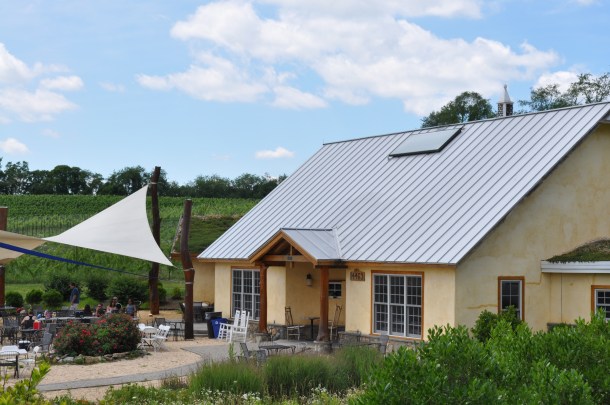 black ankle and csa 003