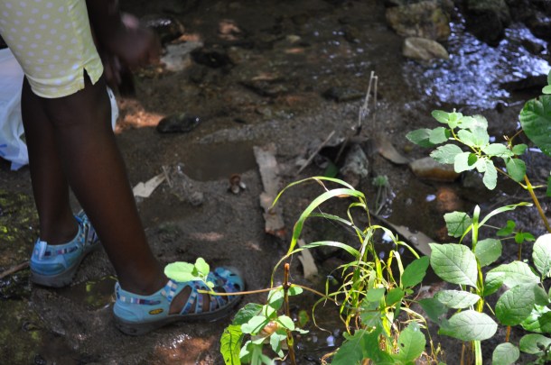 fandf and fritters 033