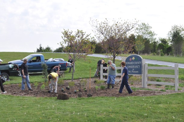 earth day and herbs 022