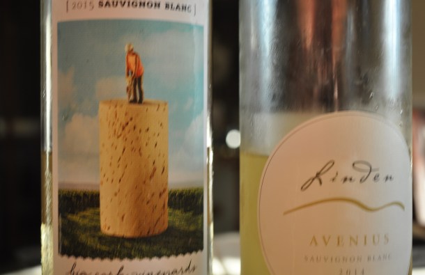 succotash and more 018