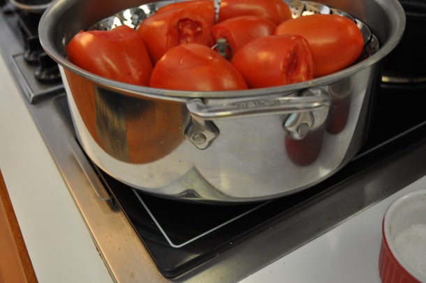 tomatoes-csa-and-deck-011